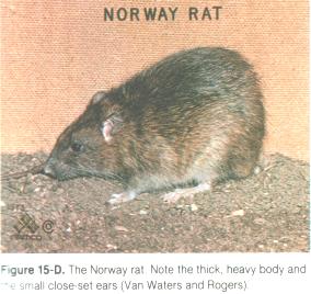 360截圖176501049812182.jpg 360截圖176501049812182.jpg